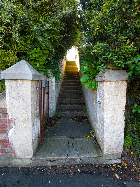 Free Stairway Architecture photo and picture