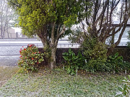 Free Snow Weather photo and picture