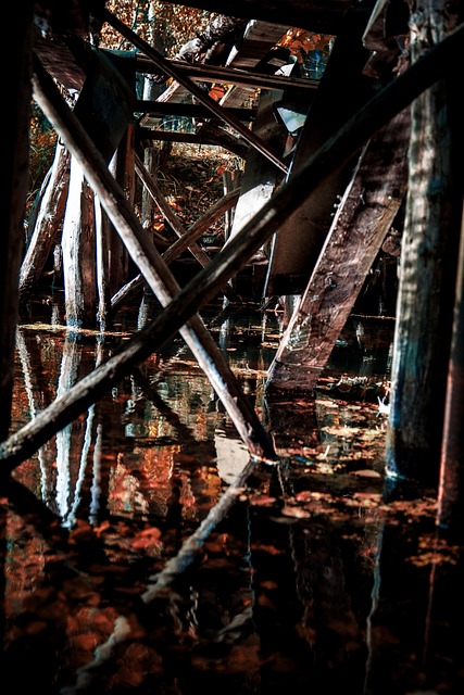 Free River Stream photo and picture