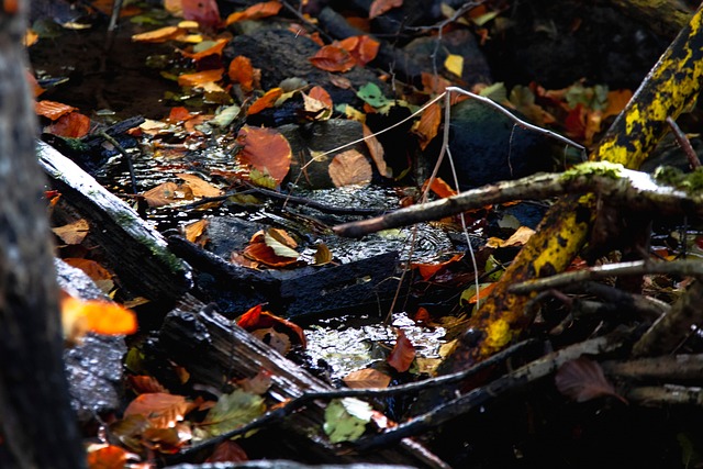 Free Water Hd Wallpaper photo and picture