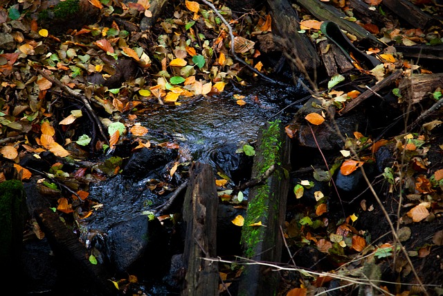 Free Water Nature photo and picture
