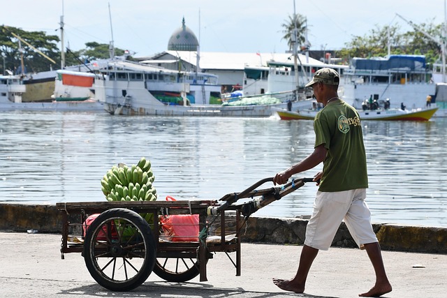 paotere harbour, vendor, port, makassar, indonesia, harbour