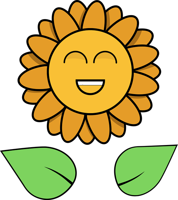 Download free HD stock image of Flower Orange Flower Free flower orange flower sunflower vector
