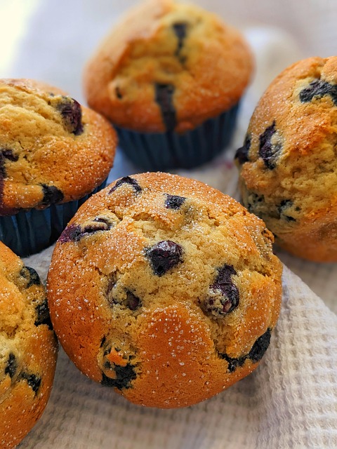Free Muffins Blueberry Muffins photo and picture