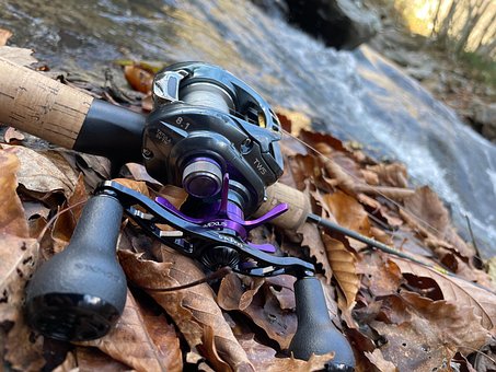 Free Reel Fishing photo and picture