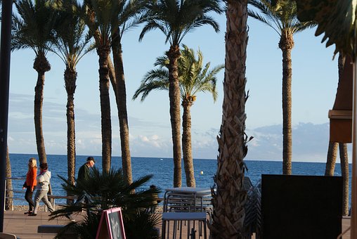Free Beach Sea photo and picture