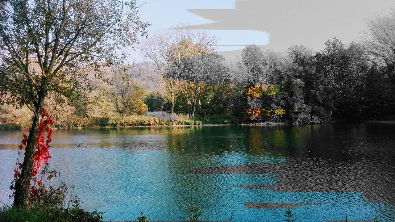 La Nature Arrière Plan Fond - Photo gratuite sur Pixabay - Pixabay
