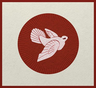 Free Peace Dove illustration and picture