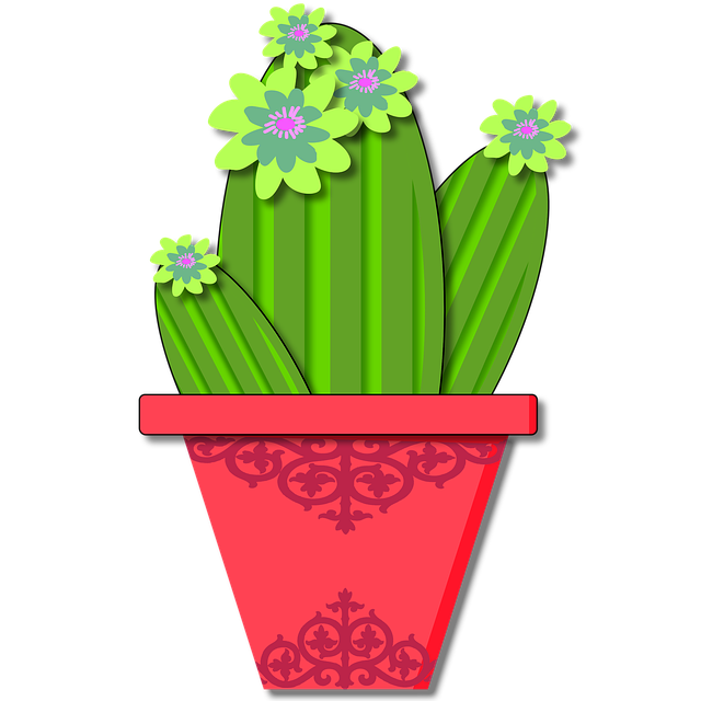 Free cactus succulent desert illustration