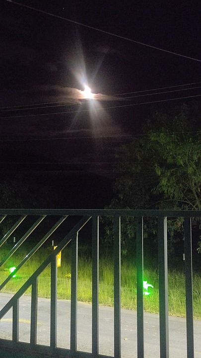 Lua Nature - Photo gratuite sur Pixabay - Pixabay
