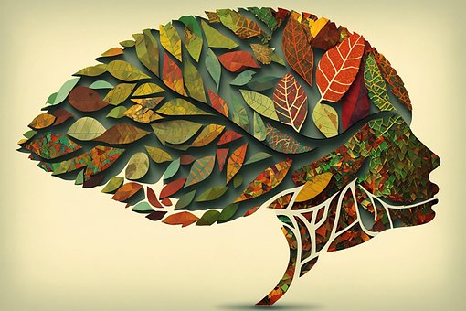Free Nature Leaf illustration and picture