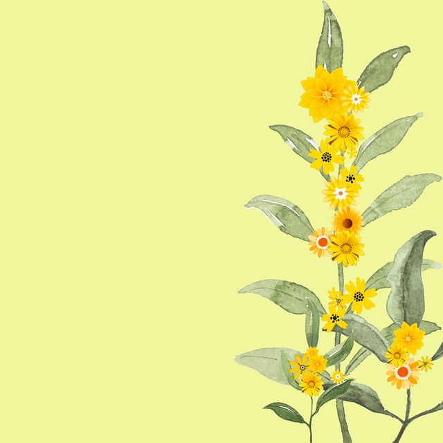 Free flowers yellow flowers green leaves illustration