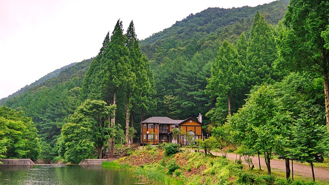 Free Lake House photo and picture