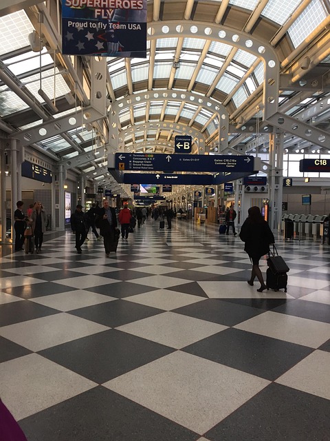Airport O'Hare Passengers Free photo on Pixabay Pixabay