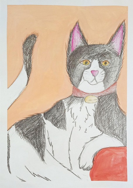 Free Cat Animal photo and picture