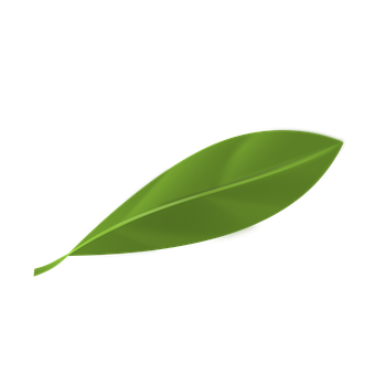 Premie, Blad, Groene Blad, Kwaliteit