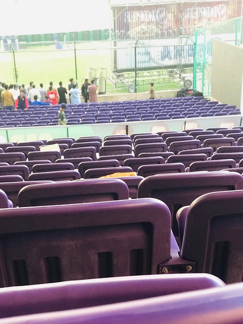 Free Stadium Viewers photo and picture