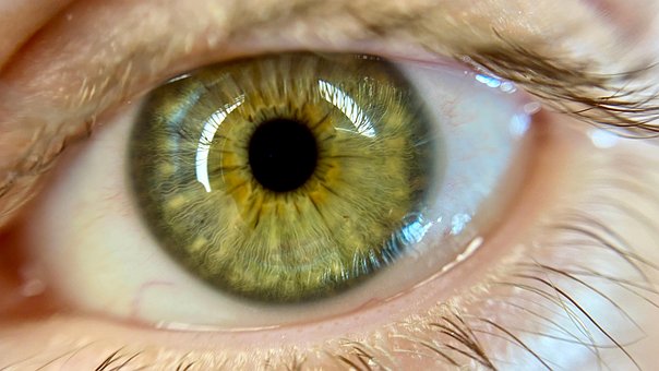 Free Eye Woman photo and picture