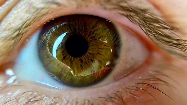 Free Eye Woman photo and picture