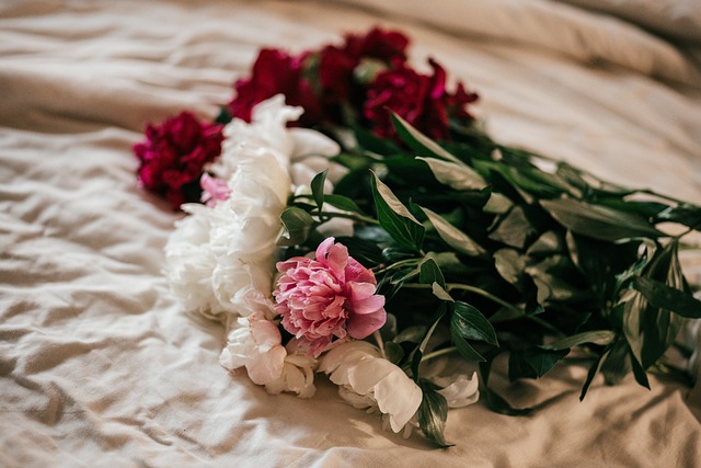 Free Flowers Peonies photo and picture