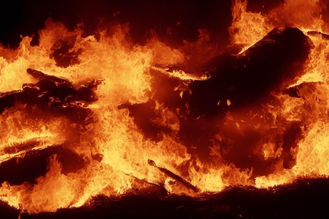 Free fire flames combustion illustration