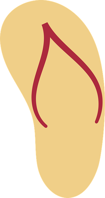 Free slipper yellow slipper flip flop vector