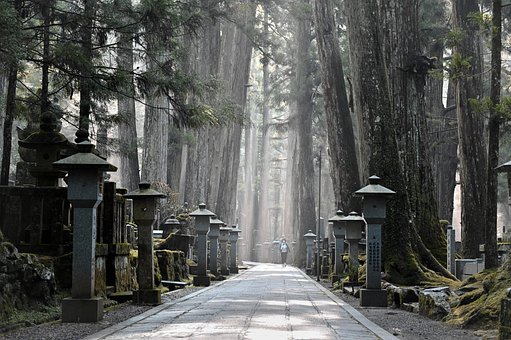 Túmulo, Koyasan, Névoa, Luz Solar