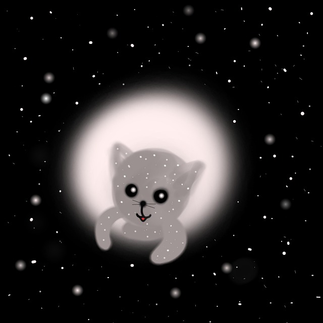 Free Cat Stars illustration and picture