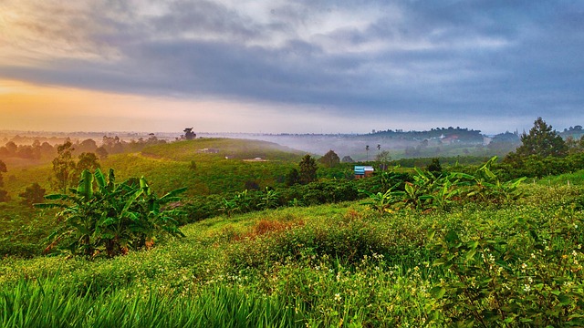 Free Vietnam Landscape photo and picture