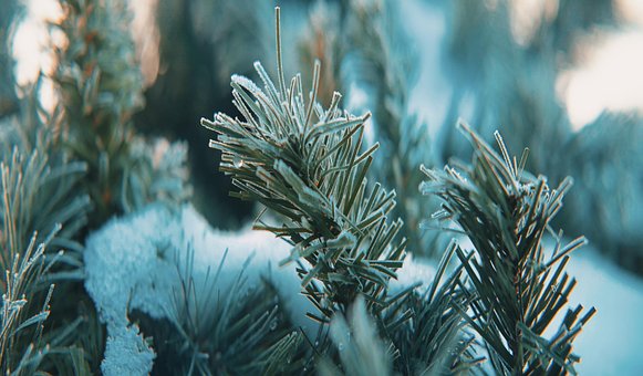 Free Snow Ice photo and picture