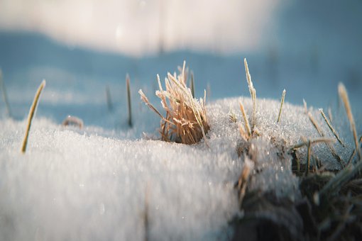 Free Ice Snow photo and picture