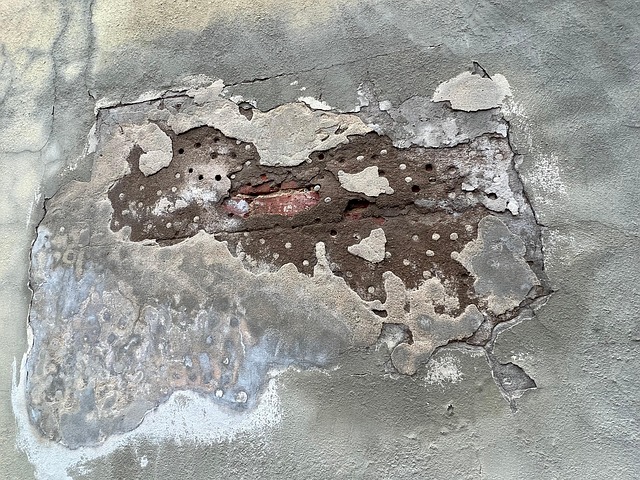 Free Wall Damaged photo and picture