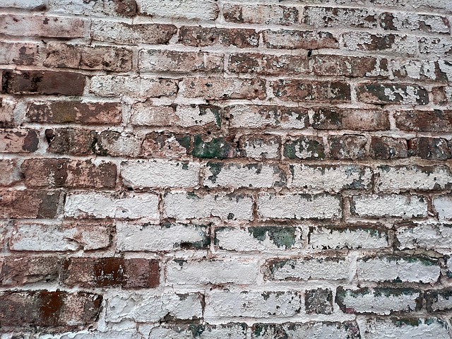 Free Brick Wall photo and picture