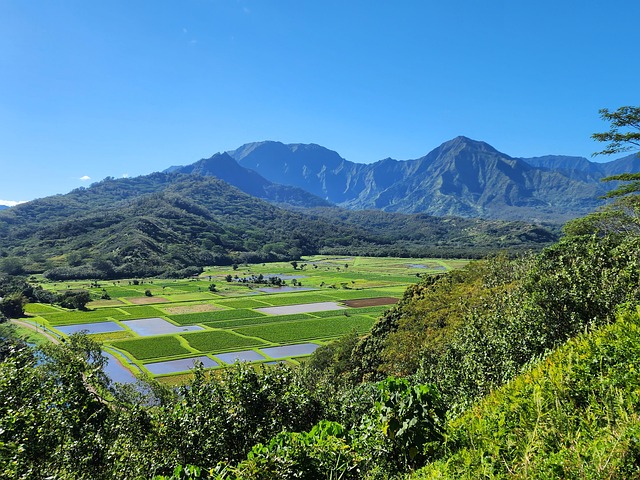 Free Hanalei Hanalei Valley photo and picture