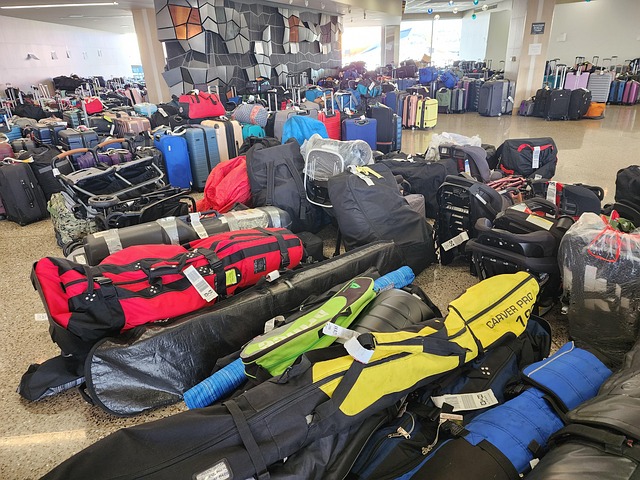 Free Luggage Airport Luggage photo and picture