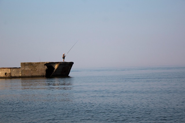 Free Sea Fish photo and picture