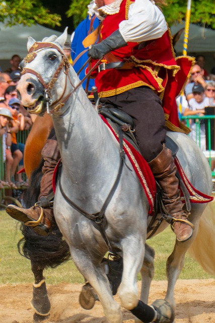 Hest, Musketer, Galop, Historie