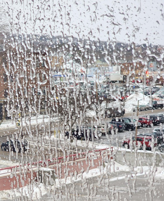 Free Icy City Window Icy Window photo and picture