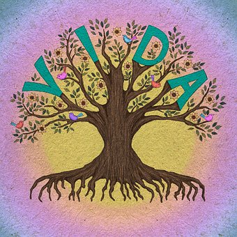 Free Tree Tree Of Life illustration and picture