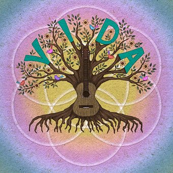 Free Tree Tree Of Life illustration and picture
