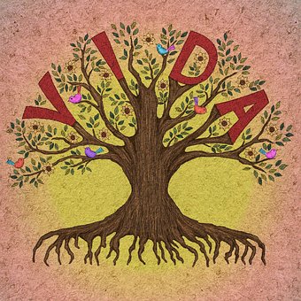 Árbol, Árbol De La Vida, Florecer