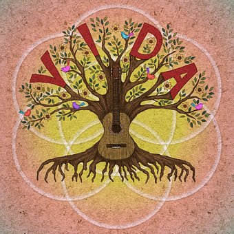 Free Tree Tree Of Life illustration and picture