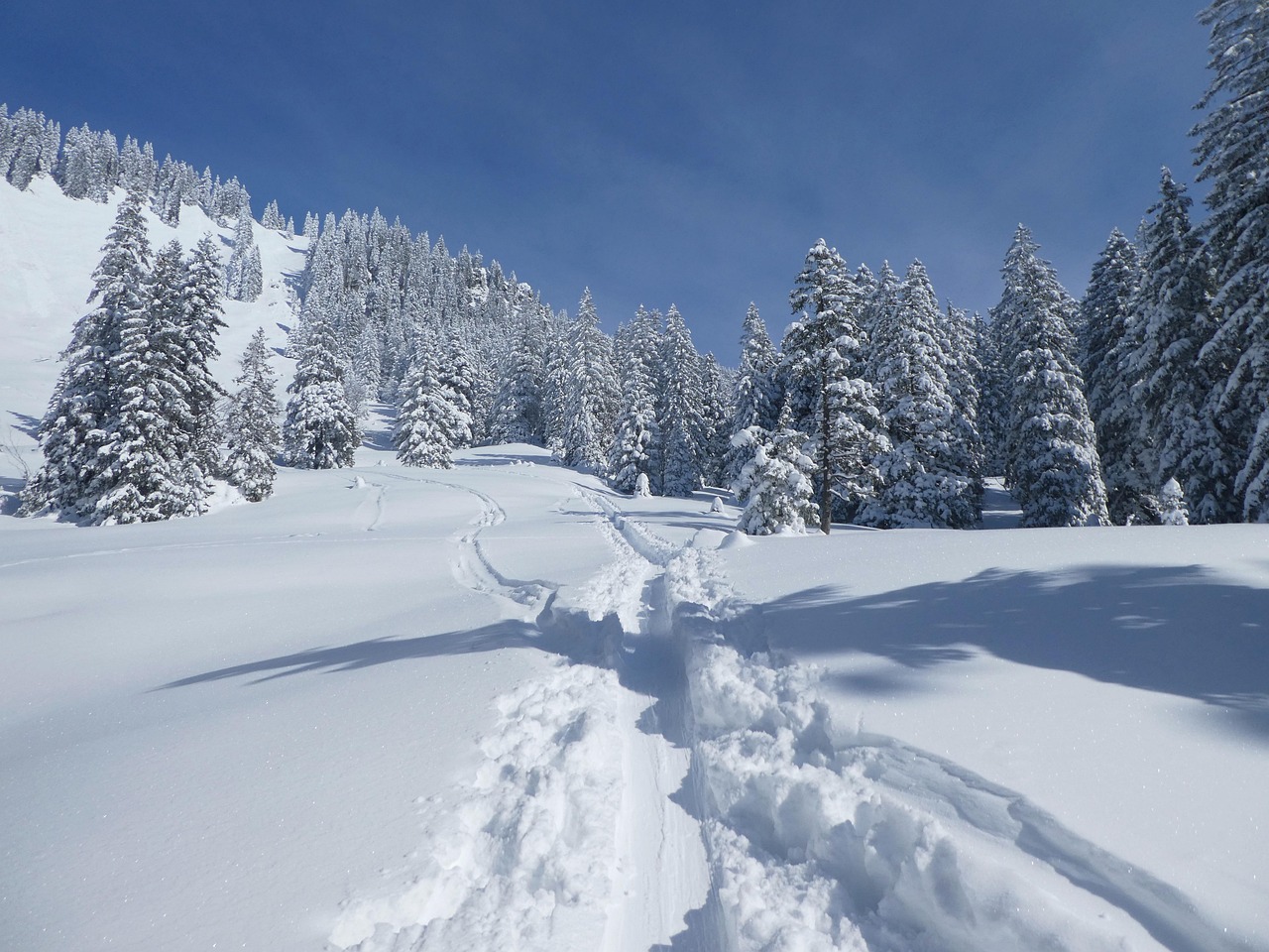 Snow Winter Backcountry Skiiing - Free photo on Pixabay - Pixabay