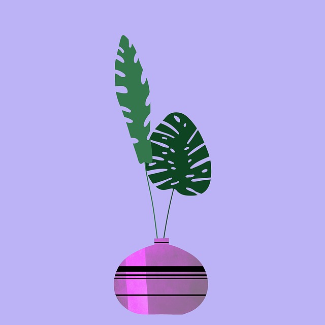 Free monstera plants leaves illustration