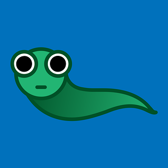 Frog, Haletudse, Vand, Hav, Sø, Flod