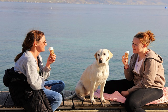 Muchachas, Amigos, Perro, Helado