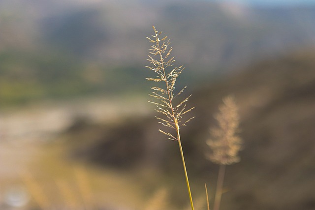 Free Valley Nature photo and picture