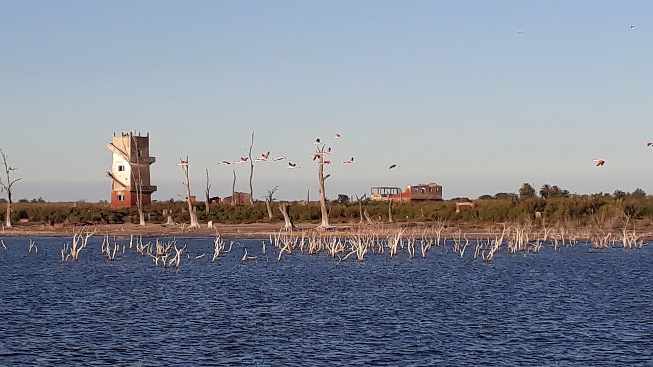 Visite de la Lagune des Flamants roses sur l'île Isabela, Île Isabela