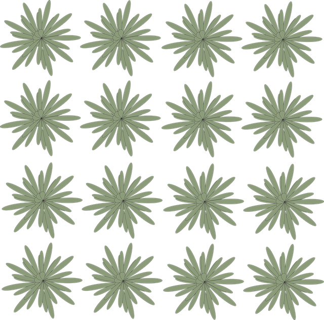 Download free HD stock image of Flower Plant Free flower plant nature illustration