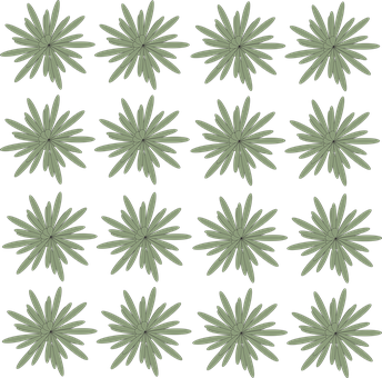 Flor, Planta, Patrón, Floral, Naturaleza